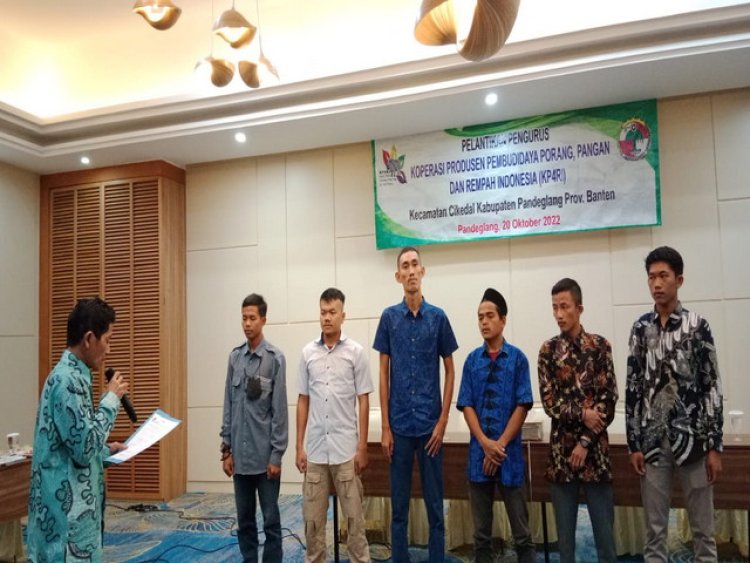 Polemik SIKM Porang Panimbang Yang Belum Beroperasi 