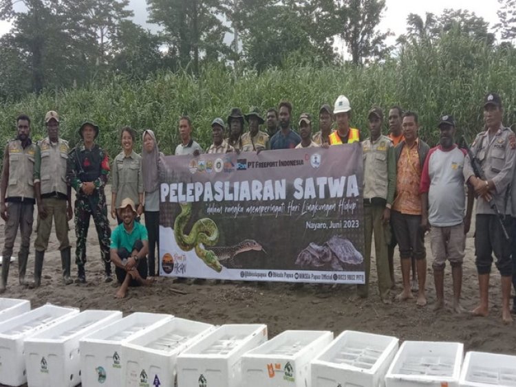 Jaga Kelestarian Dari Kepunahan, Danramil 1710-03/Kuala Kencana Hadir Sekaligus Pengamanan Kegiatan Pelepasliaran Satwa