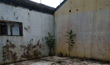 Gedung Sekolah Madrasah Ibtidaiyah Mathlaul Anwar Bertahun-Tahun Rusak Parah, Tanpa Ada Perhatian Dari Pemerintah dan DPP Mathlaul Anwar (MA)