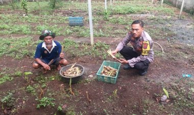 Bhabinkamtibmas Polsek Cikedal Polres Pandeglang Aktif Sosialisaikan Program Ketahanan Pangan