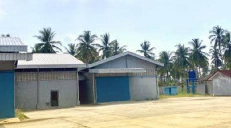 IKM Porang dan P4 Apresiasi Kepada Kejari Pandeglang, Terkait Respon Kasus SIKM Porang Panimbang