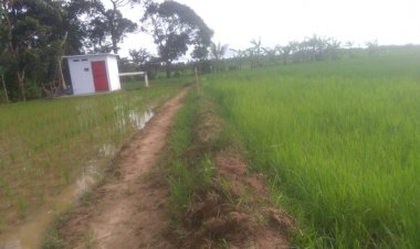 BPP Pagelaran dan DPKP Realisasikan Program Irpom Poktan Saluyu Sukadame, Padahal Diduga Belum Kantongi Surat Hibah 