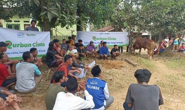 Relawan Rumah Yatim Salurkan Hewan Kurban ke Pelosok Negeri