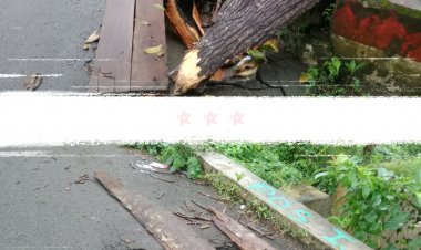 Kondisi Dua Jembatan Kecil Penghubung di Jalur Desa Sindangkarya Menes Sangat Mengkhawatirkan