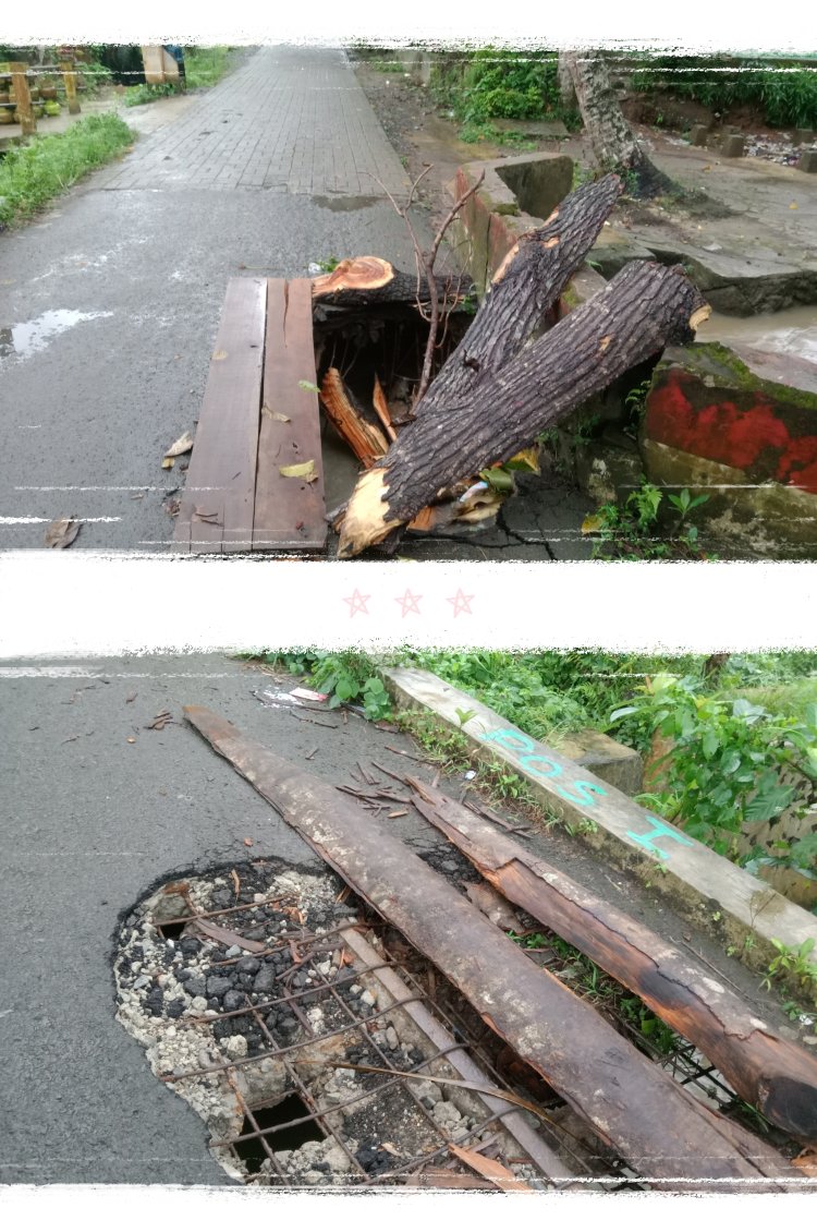 Kondisi Dua Jembatan Kecil Penghubung di Jalur Desa Sindangkarya Menes Sangat Mengkhawatirkan