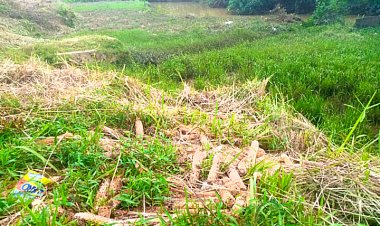 Sampah SPPG Tidak Dikelola Sesuai Prosedur, SPPI Berikan Fakta Mengejutkan