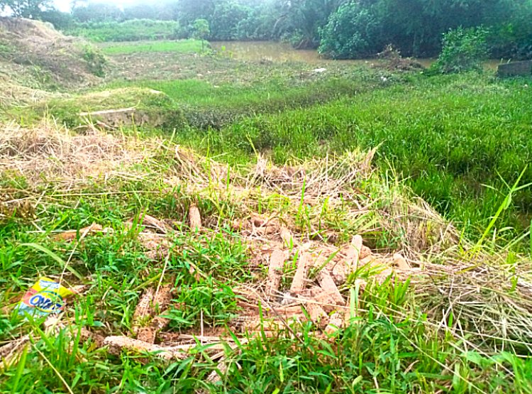 Sampah SPPG Tidak Dikelola Sesuai Prosedur, SPPI Berikan Fakta Mengejutkan