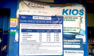 Diduga Jual di Atas HET, Petani di Patia Keluhkan Harga Pupuk Subsidi Rp230 Ribu per Kwintal