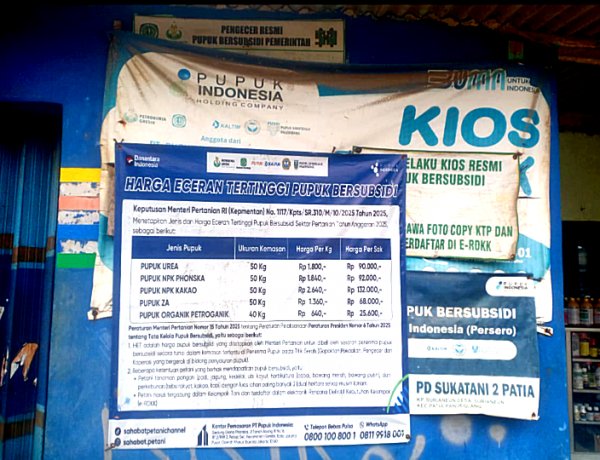 Diduga Jual di Atas HET, Petani di Patia Keluhkan Harga Pupuk Subsidi Rp230 Ribu per Kwintal