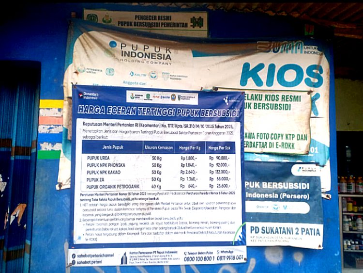 Diduga Jual di Atas HET, Petani di Patia Keluhkan Harga Pupuk Subsidi Rp230 Ribu per Kwintal