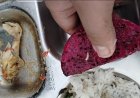 Menu Sajian MBG Diterima Siswa SMKN 3 Pandeglang Bebelatung