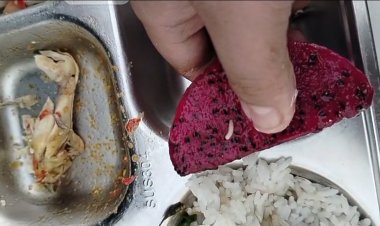 Menu Sajian MBG Diterima Siswa SMKN 3 Pandeglang Bebelatung