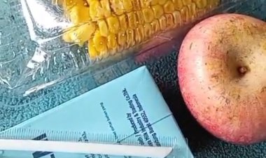 BGN & Satgas MBG, Diminta Tegas Kepada Seluruh SPPG Di Pandeglang, Yang Laggar SOP