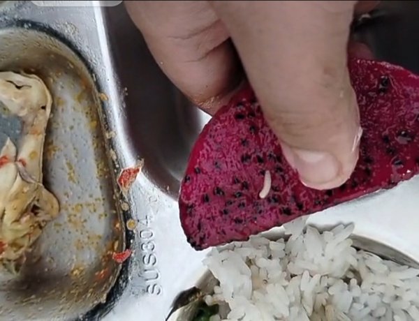 Menu Sajian MBG Diterima Siswa SMKN 3 Pandeglang Bebelatung