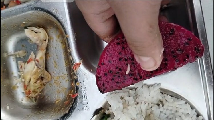 Menu Sajian MBG Diterima Siswa SMKN 3 Pandeglang Bebelatung