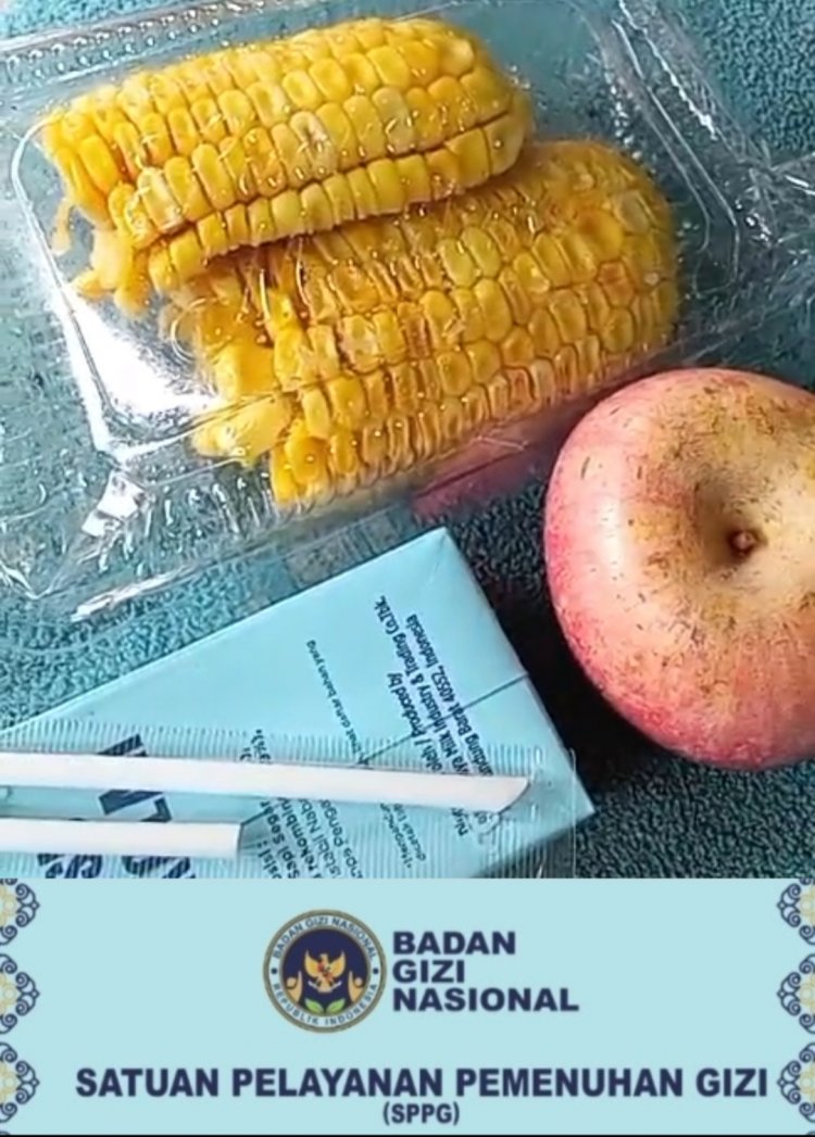 BGN & Satgas MBG, Diminta Tegas Kepada Seluruh SPPG Di Pandeglang, Yang Laggar SOP