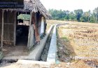 Dua Proyek P3-TGAI Daerah Irigasi Ciangga Desa Padahayu Cikedal Selesai Dikerjakan, Masyarakat Ucapkan Terimakasih